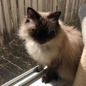 Meet your Posher, Mallory